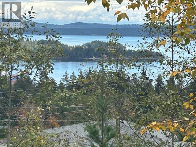 438 Thetis Dr, Ladysmith