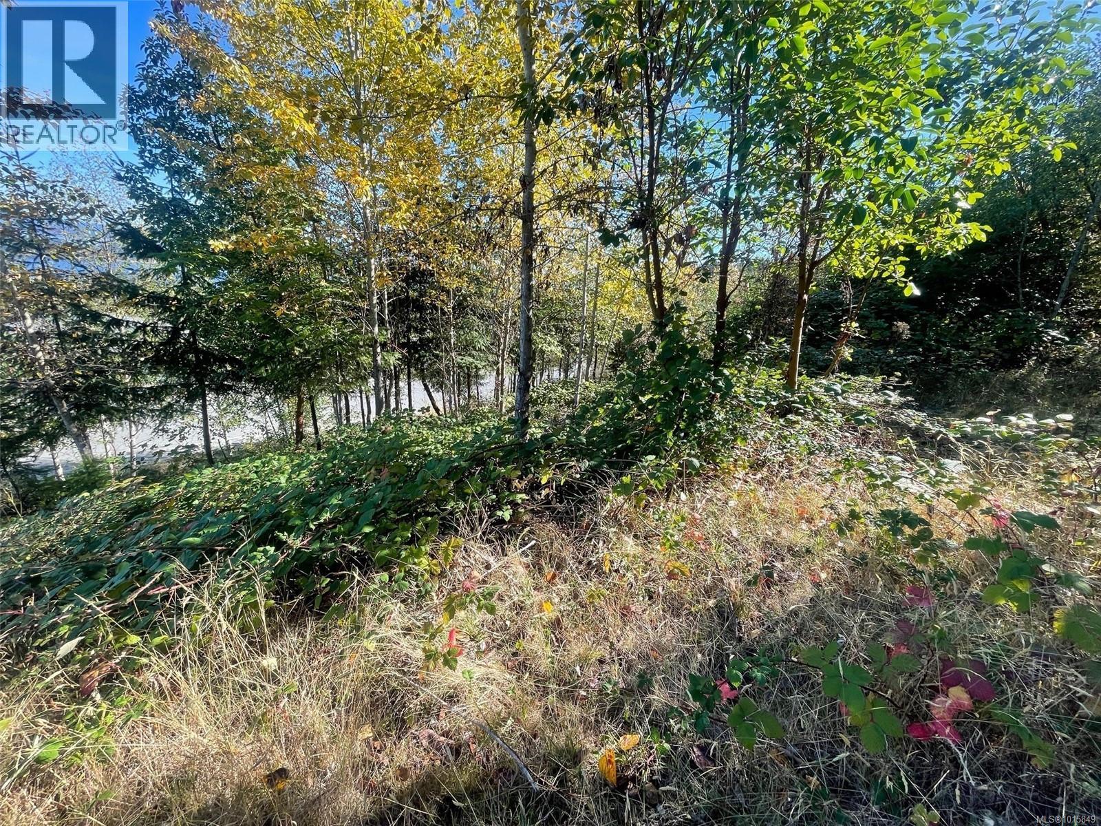 438 Thetis Dr, Ladysmith