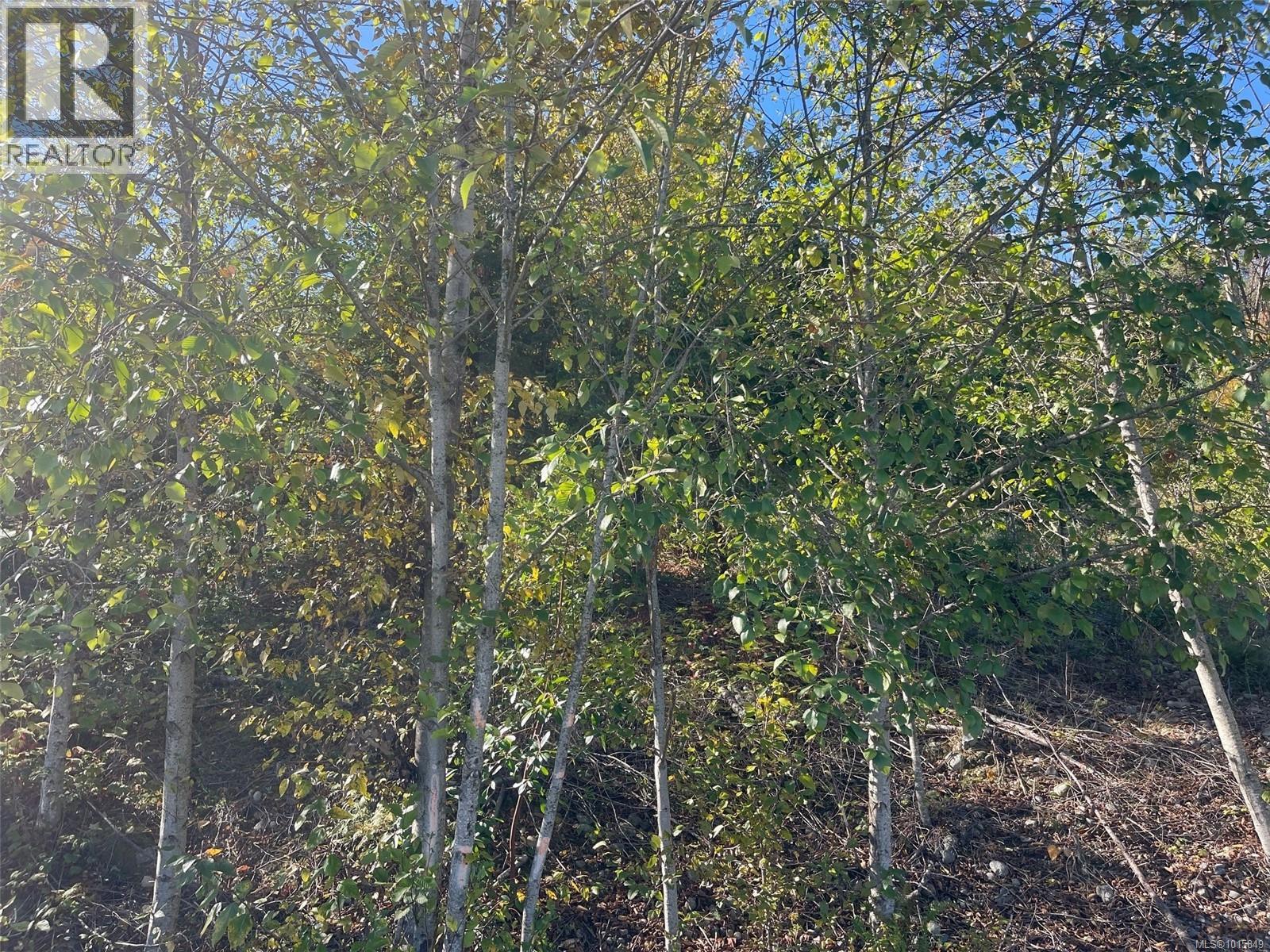 438 Thetis Dr, Ladysmith