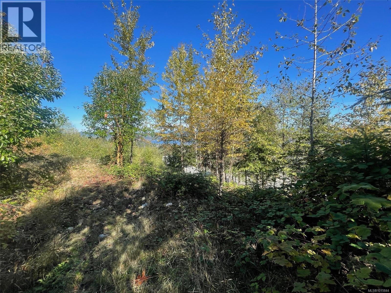 436 Thetis Dr, Ladysmith