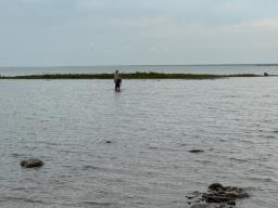 173083 48 Road W, Hilbre, MB R0G1L0 Photo 34