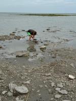 173083 48 Road W, Hilbre, MB R0G1L0 Photo 33