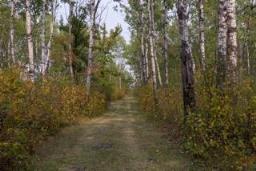 173083 48 Road W, Hilbre, MB R0G1L0 Photo 27