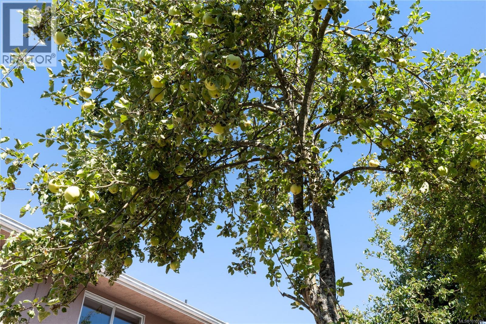  3273 Megaw Place, Saanich