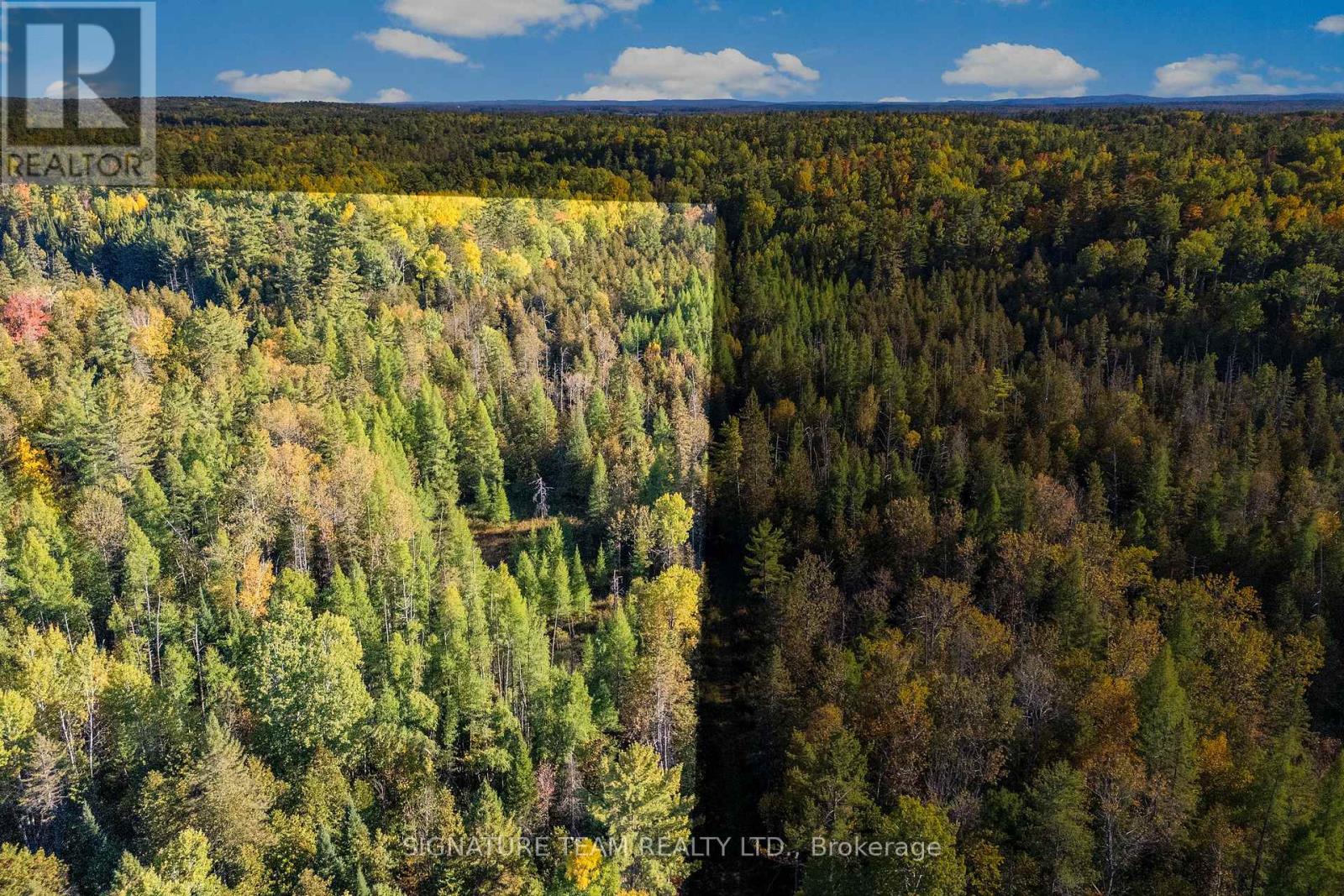 455 PASSAW ROAD - Photo 5 of 12, North Algona Wilberforce, Ontario