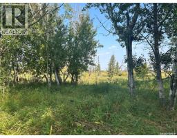 Weaver, Barrier Valley Rm No 397, SK S0E0B0 Photo 9