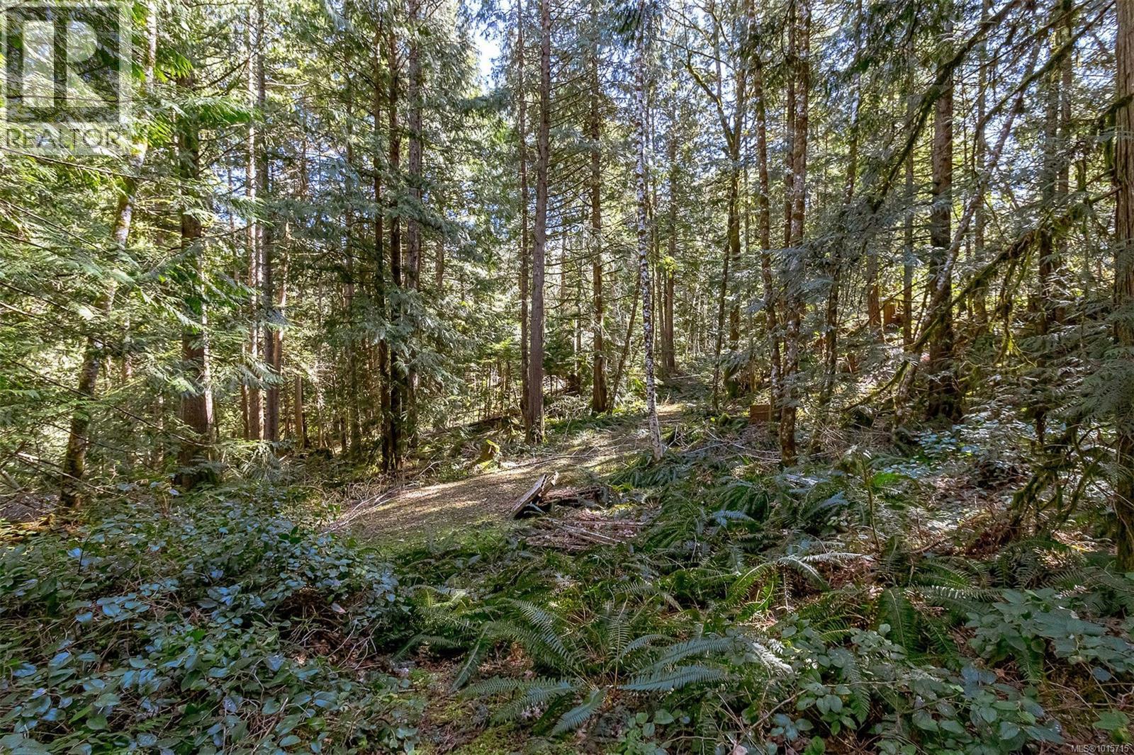 Lot 12 Mountain Rd, Duncan