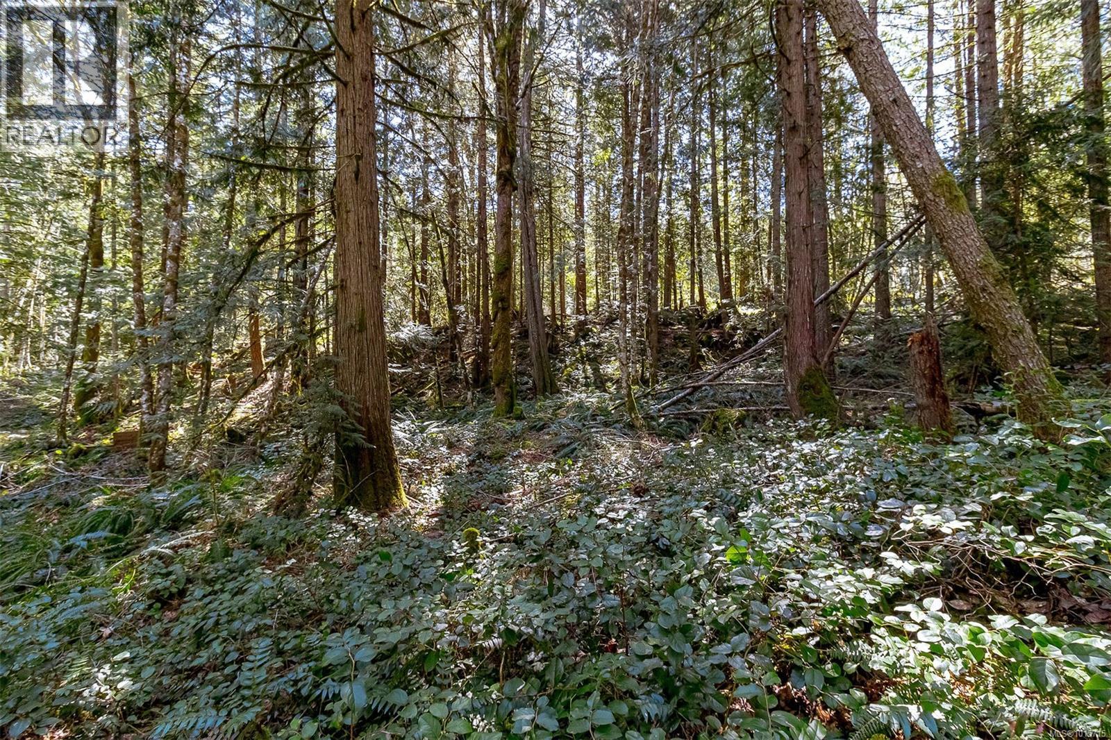 Lot 12 Mountain Rd, Duncan