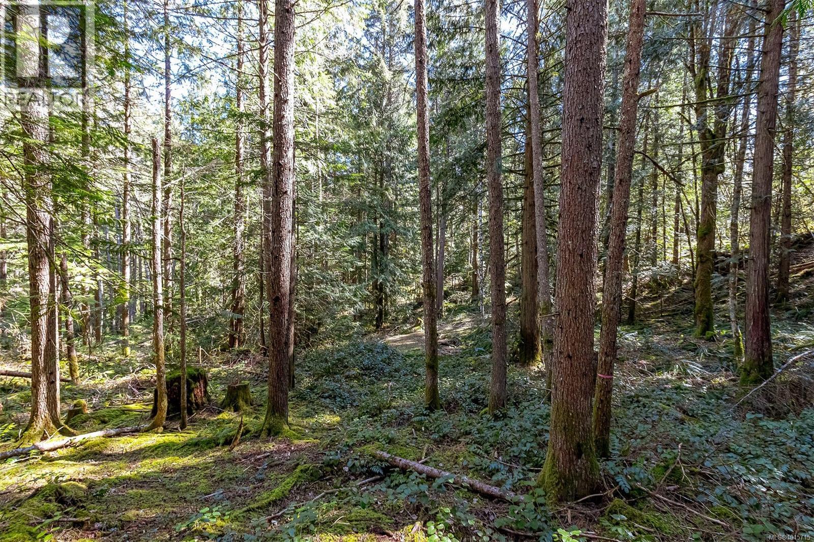 Lot 12 Mountain Rd, Duncan