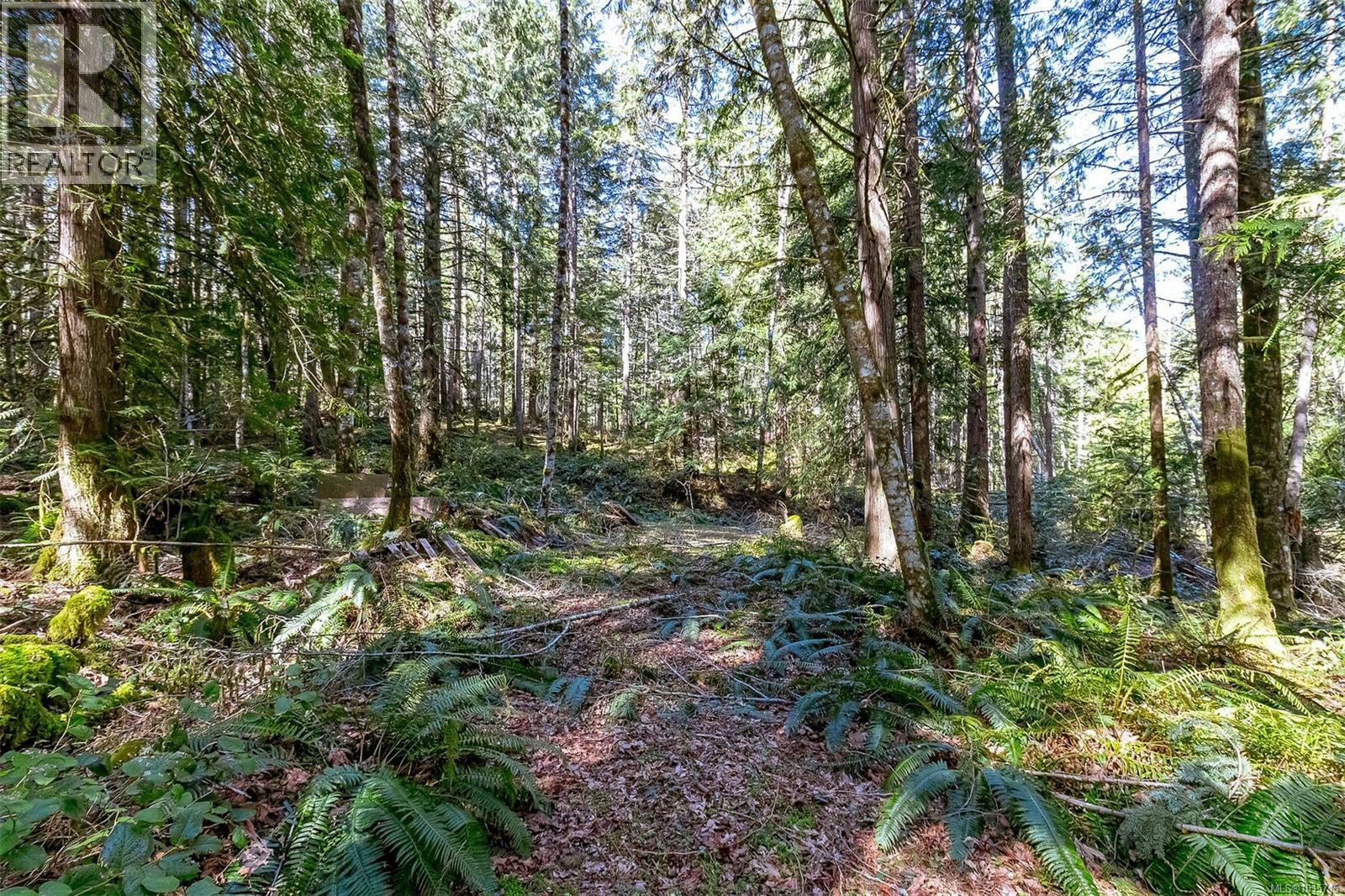 Lot 12 Mountain Rd, Duncan