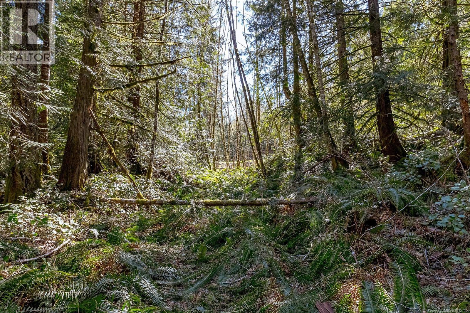 Lot 12 Mountain Rd, Duncan