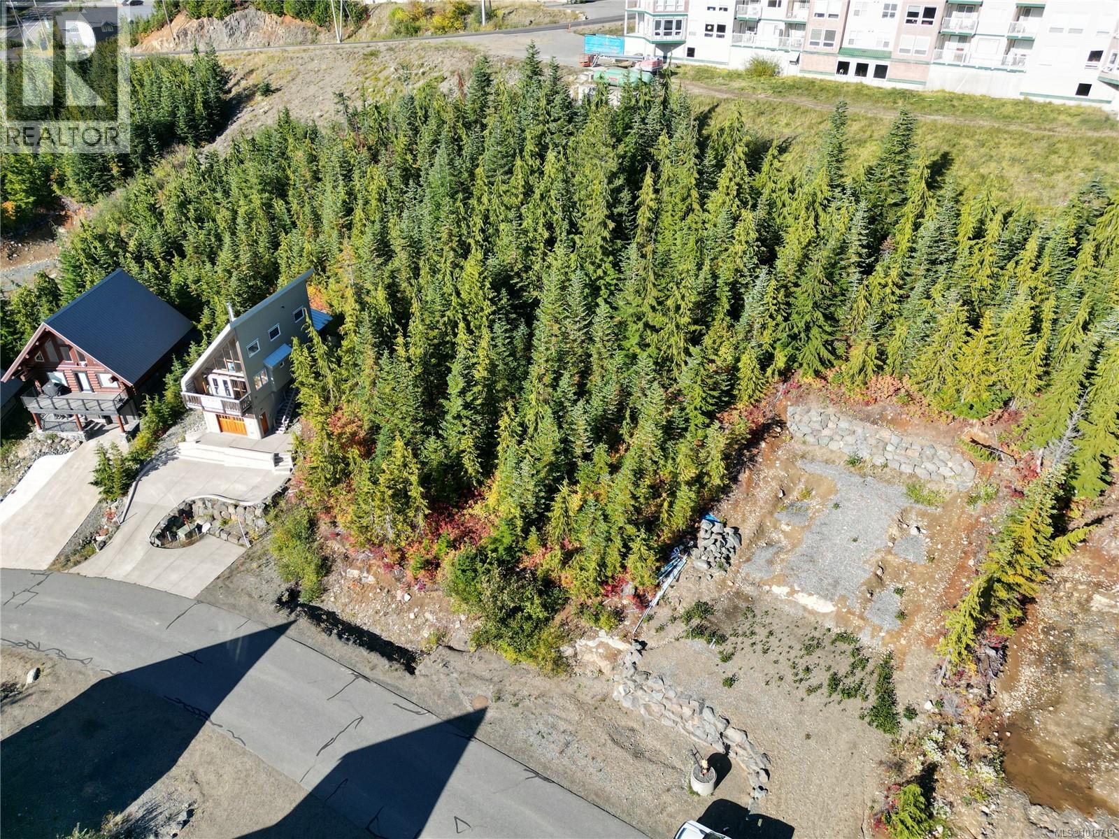 980 Cruikshank Ridge - main photo