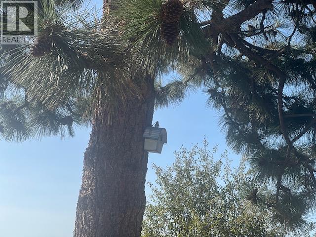 415 MULE DEER Drive Lot# 2, Osoyoos