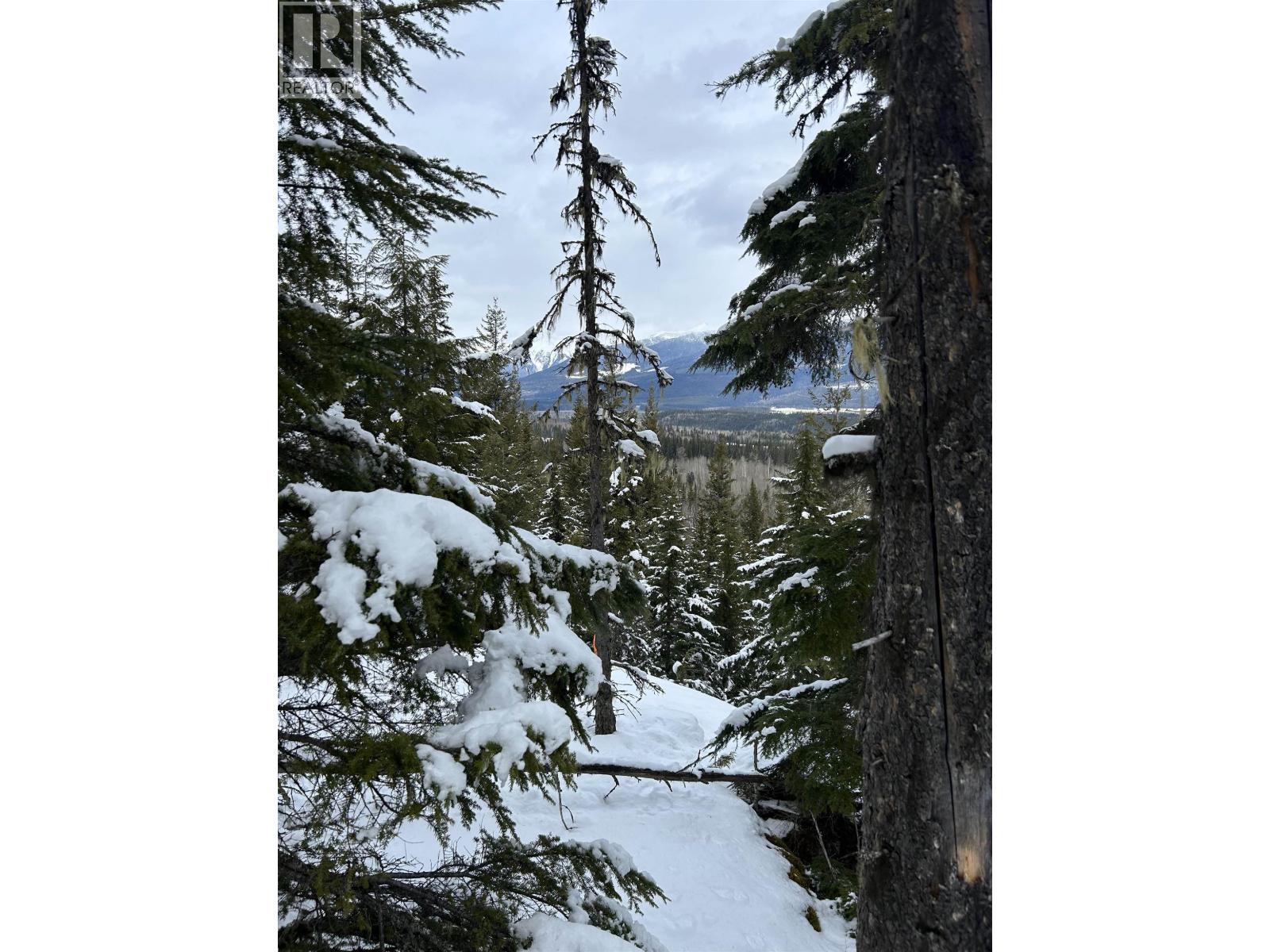 DL 7054 W 16 HIGHWAY, McBride