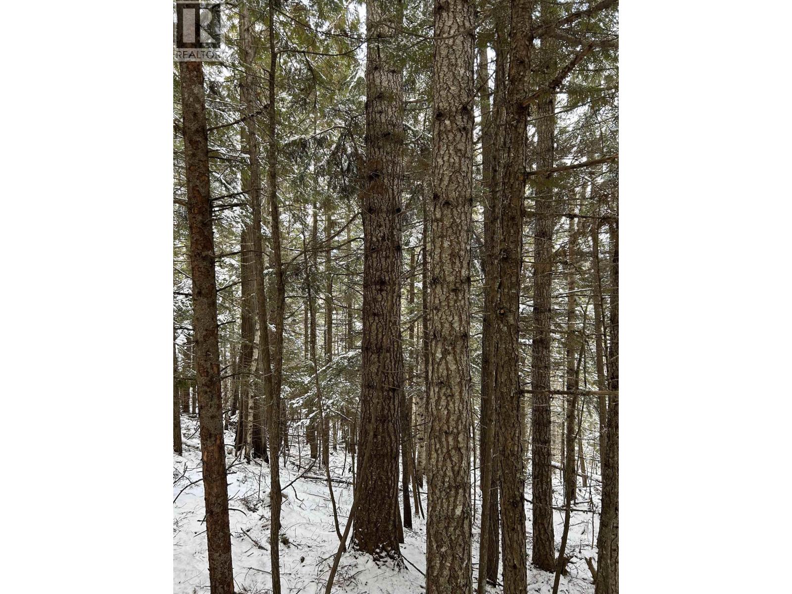 DL 7054 W 16 HIGHWAY, McBride