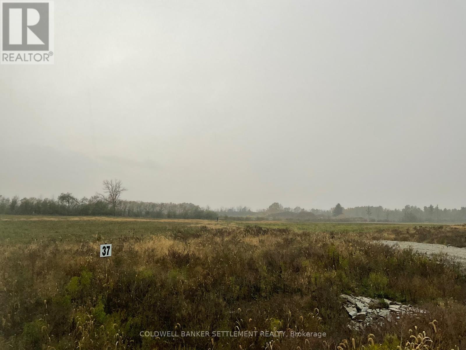 291 ARCHIE CRAIN DRIVE