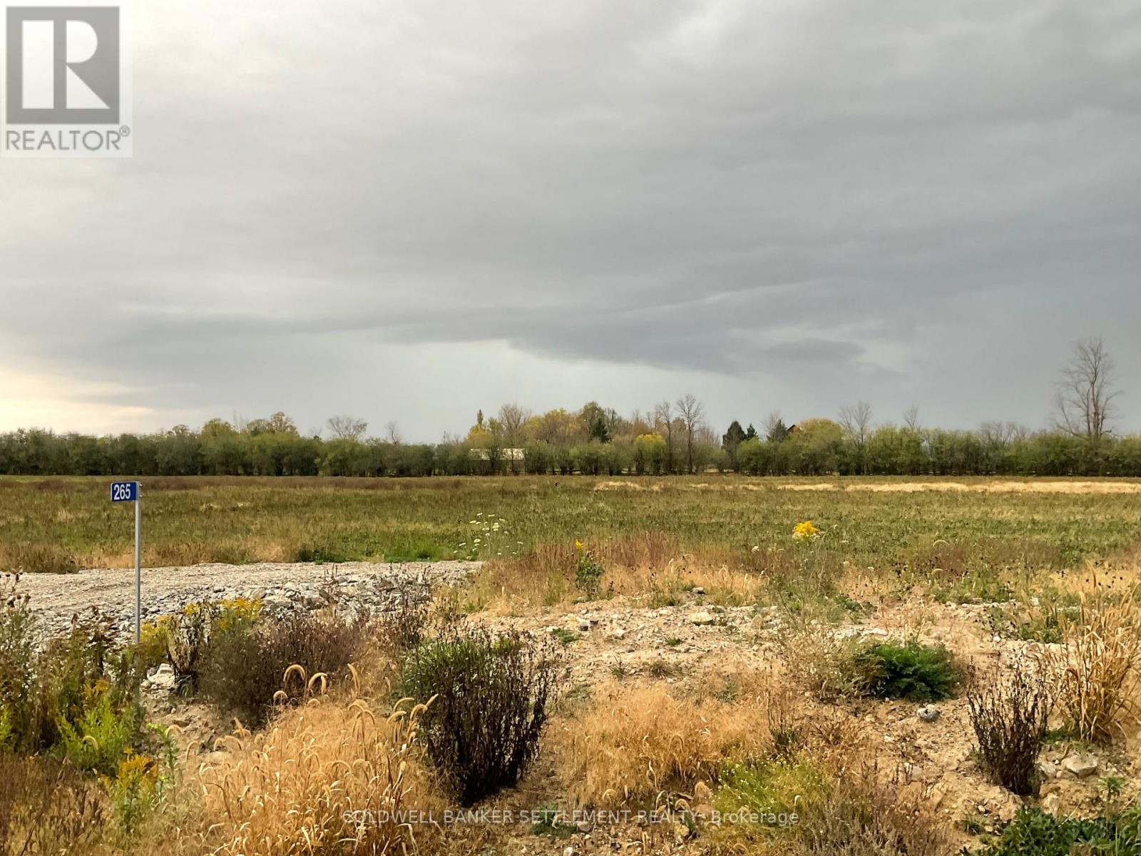 265 ARCHIE CRAIN DRIVE