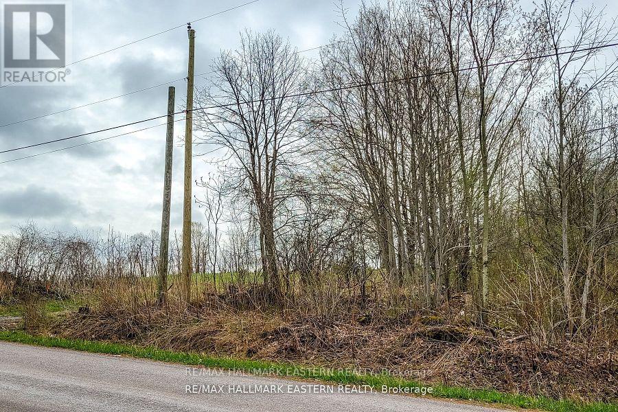 1737 THIRTEENTH LINE - Photo 5 of 37, Selwyn, Ontario