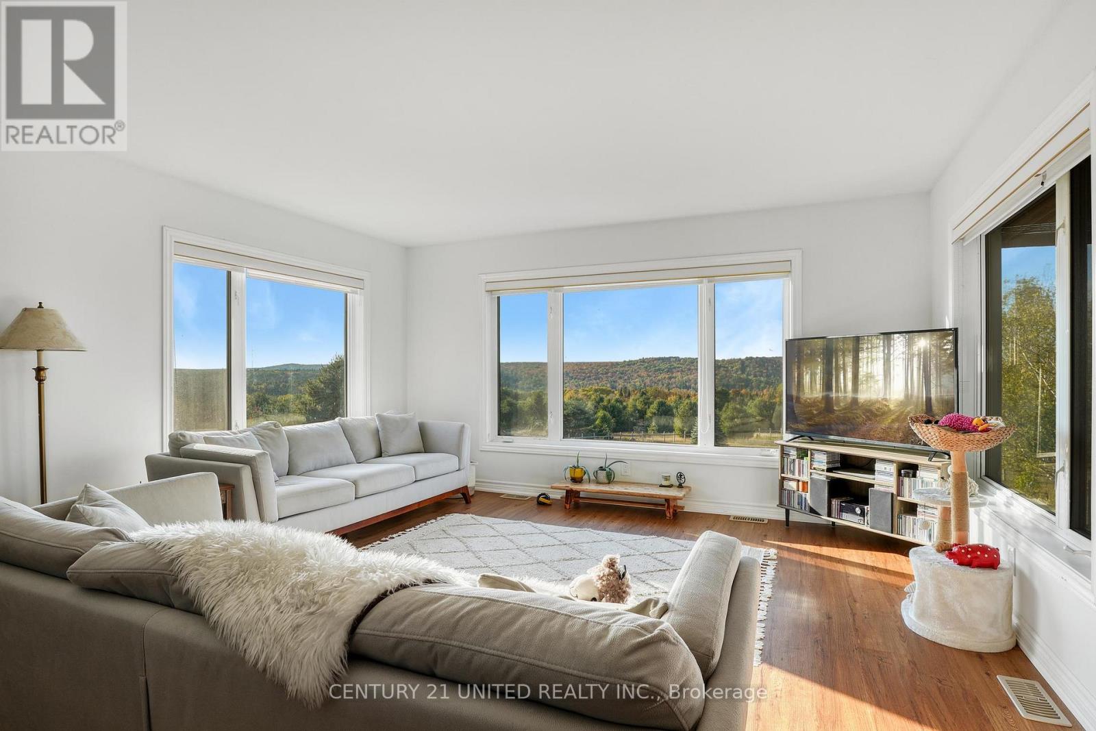 31 MCLEAN ROAD - 10