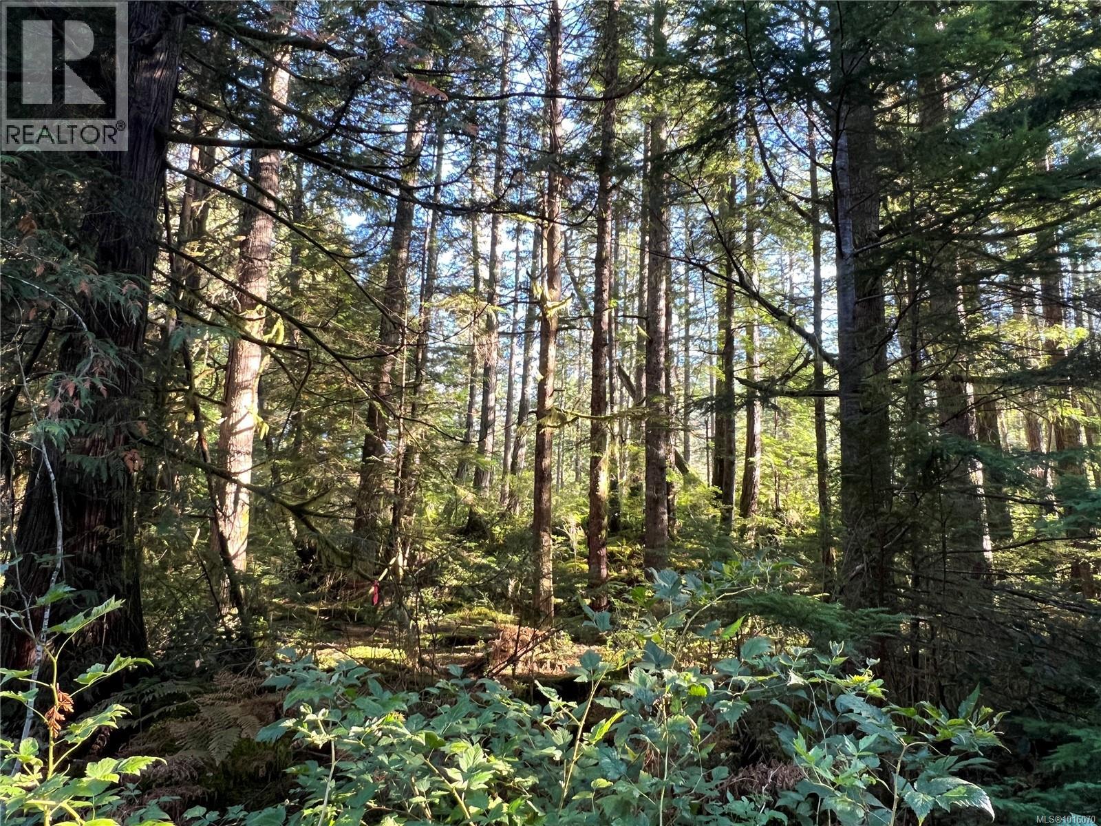 LOT 60 BUSBY ISLAND - 4