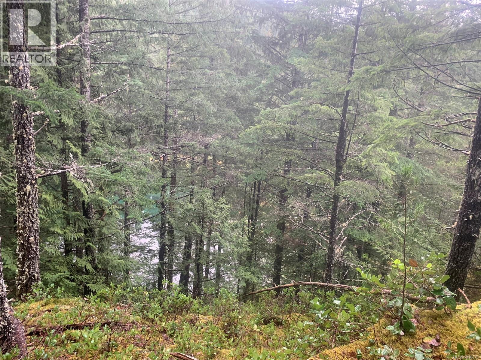 LOT 60 BUSBY ISLAND - 6