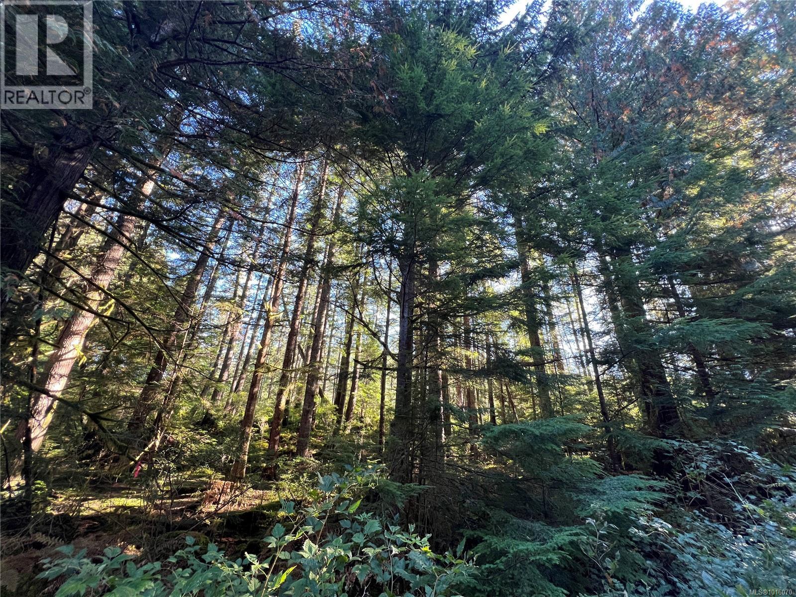 LOT 60 BUSBY ISLAND - 5