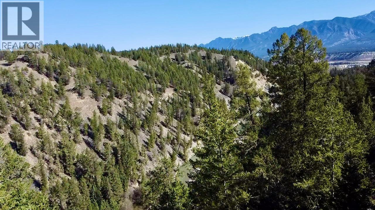 1542 PINE RIDGE MOUNTAIN PLACE LOT# 13 - 4