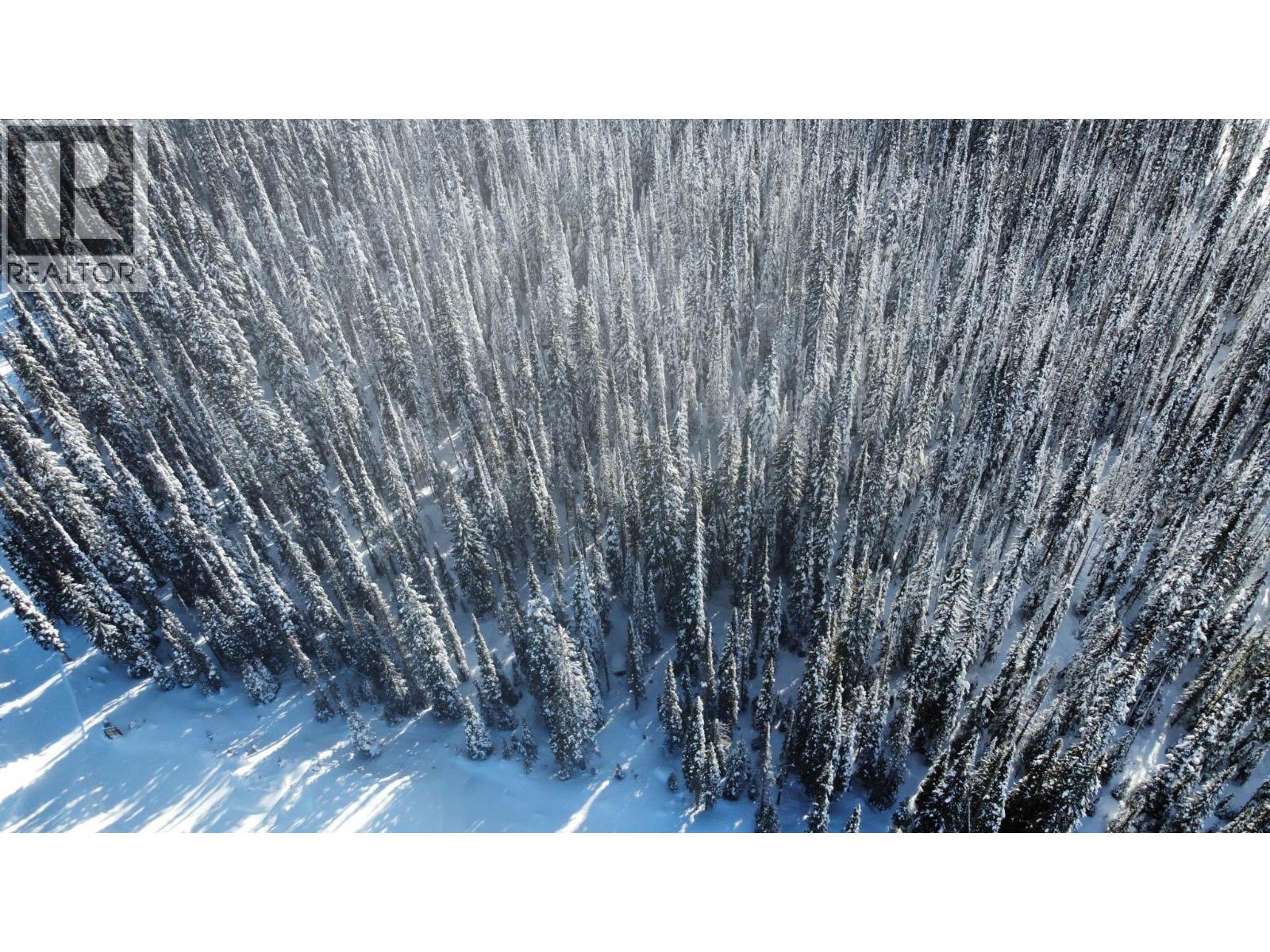  DL4259 Black Forest Road Road, Big White
