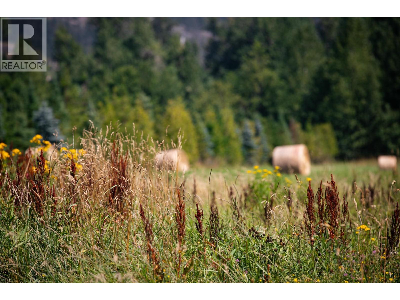 7342 CLOVER ROAD, Pemberton