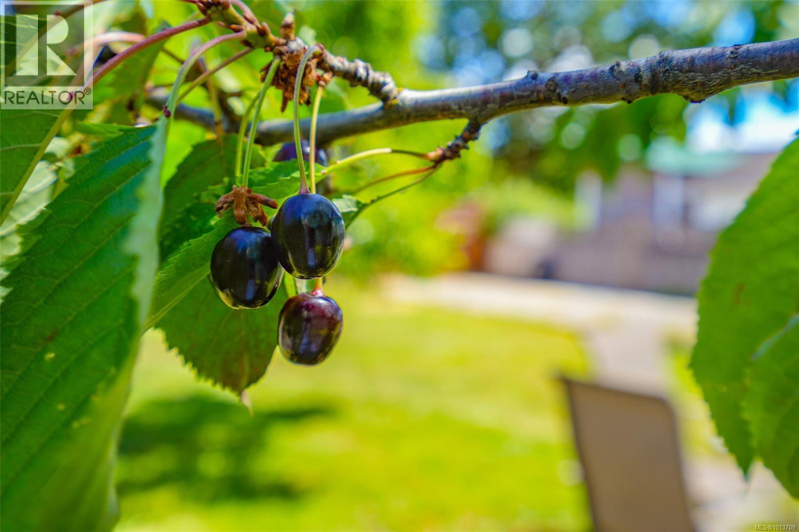 2939 11th Ave, Port Alberni