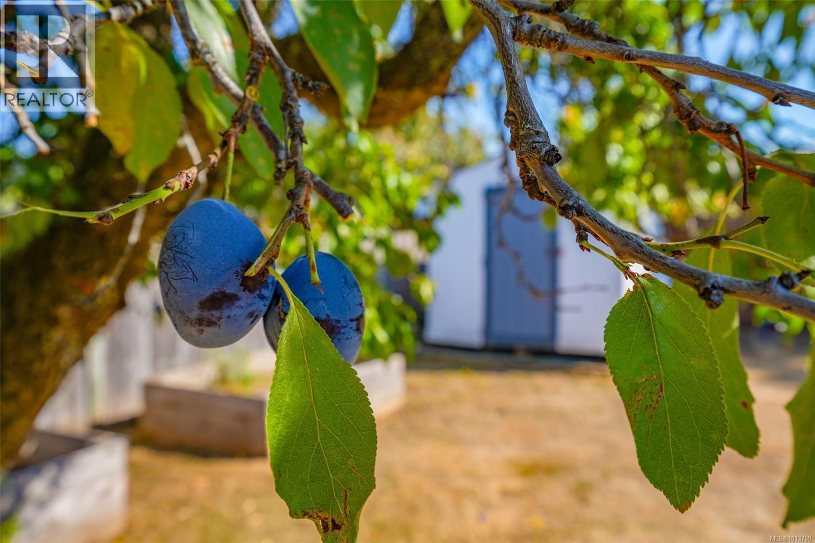 2939 11th Ave, Port Alberni