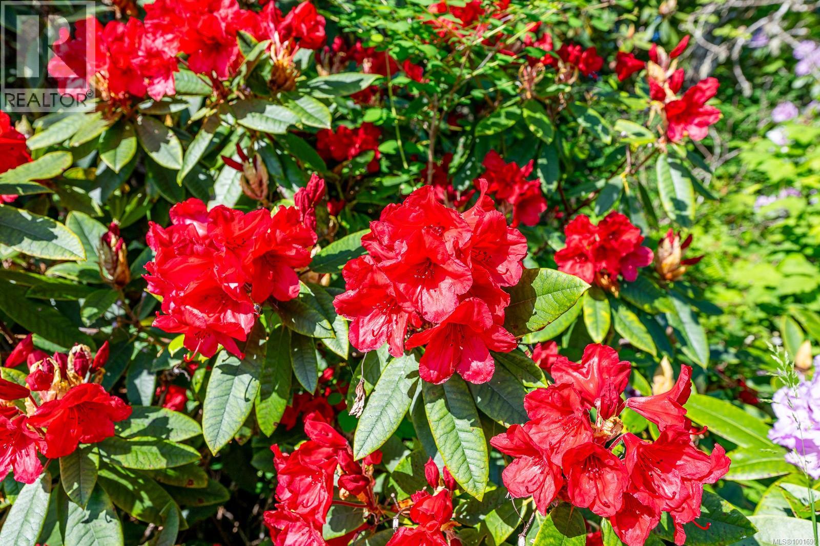 965 Balmoral Rd, Comox