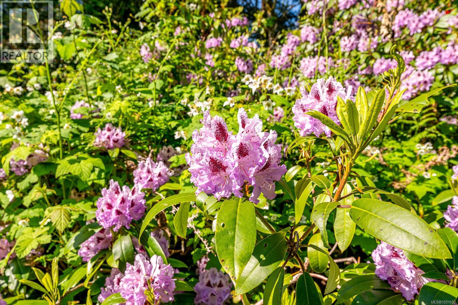 965 Balmoral Rd, Comox