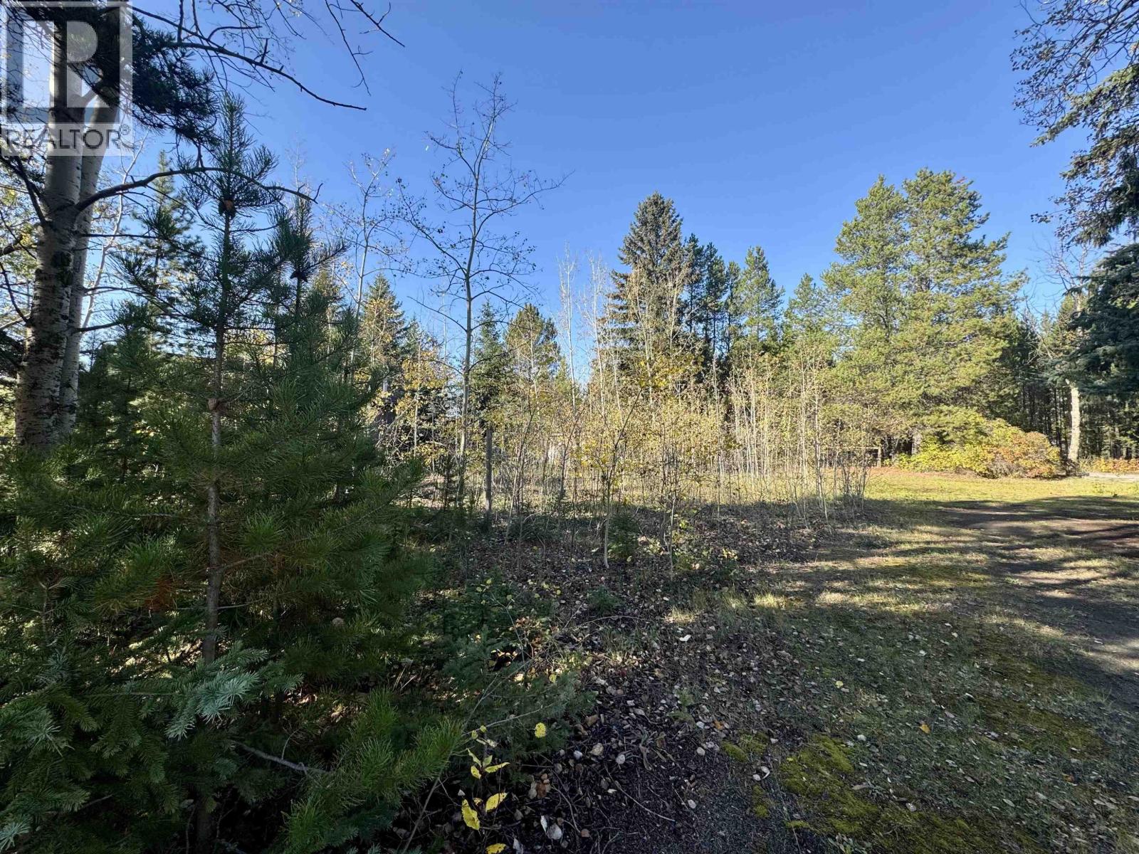1366 7TH AVENUE, Valemount