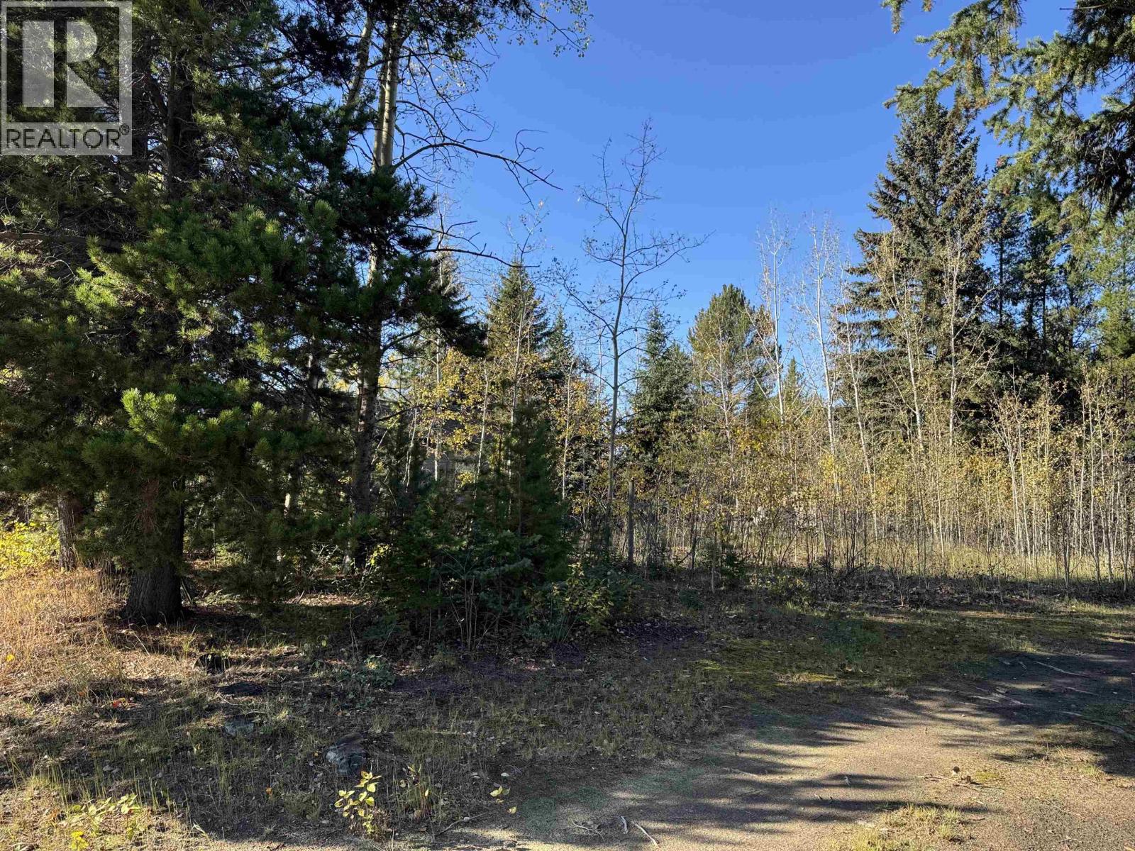 1366 7TH AVENUE, Valemount