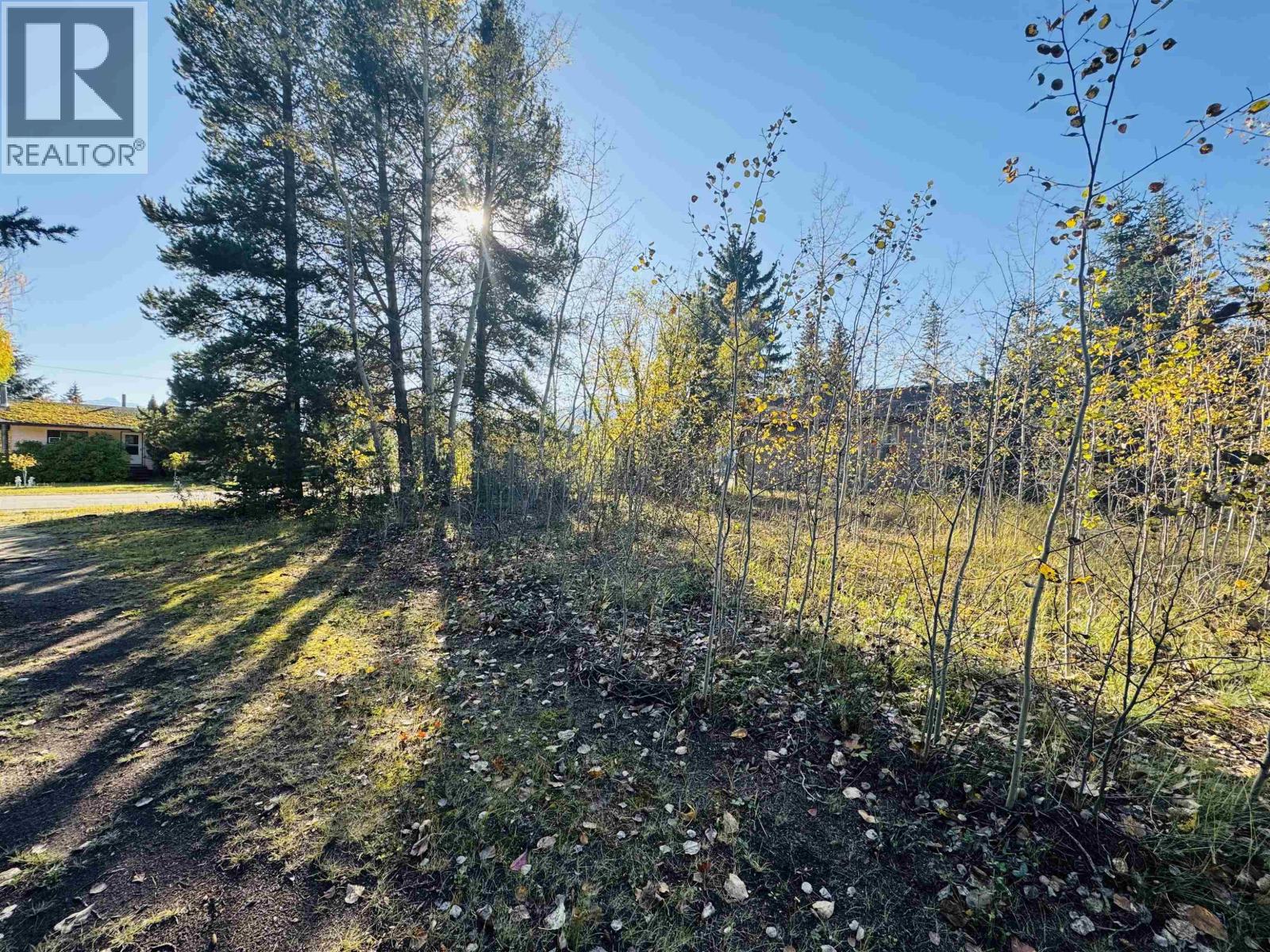 1366 7TH AVENUE, Valemount