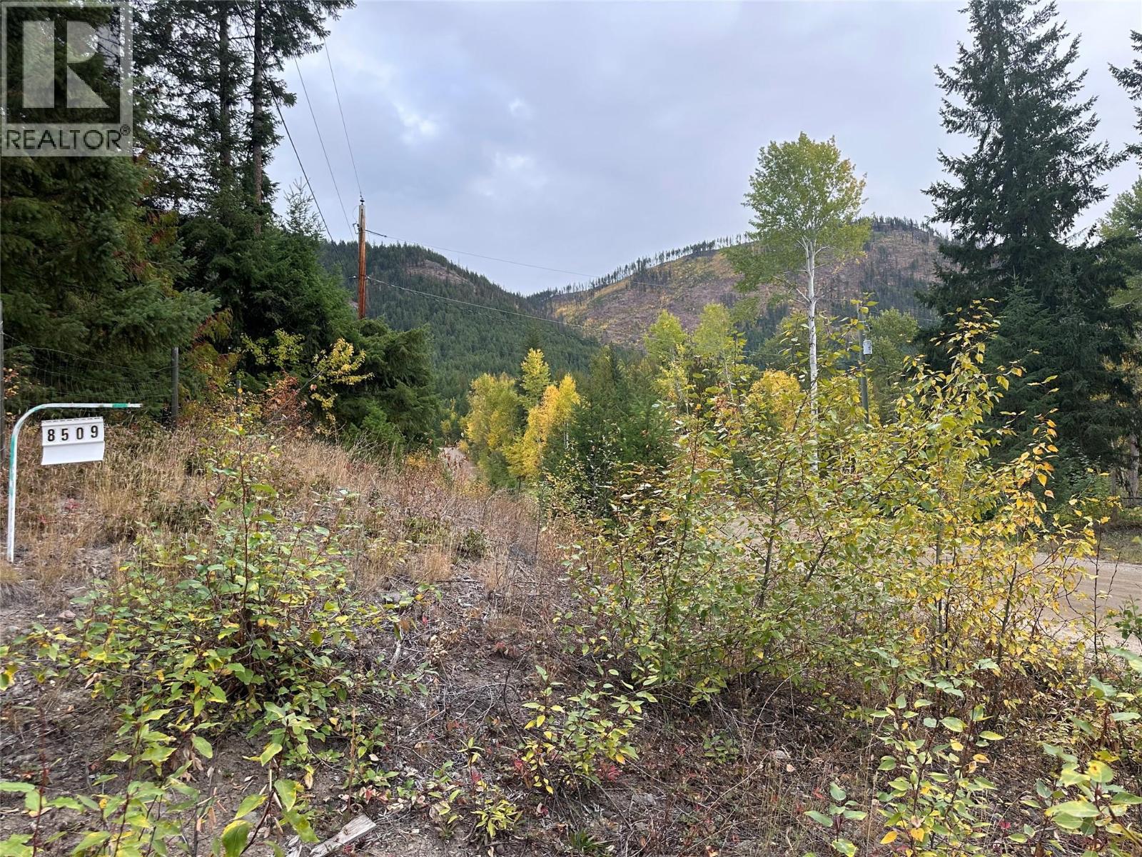 8509 Black Mountain Road, Chase