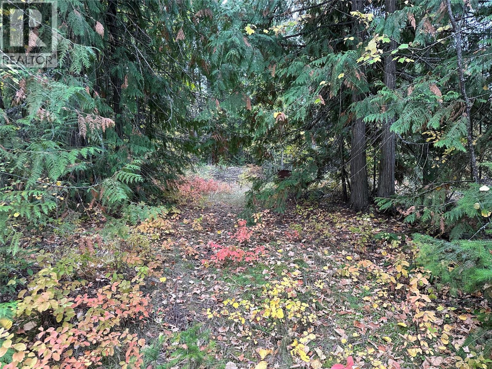 8509 Black Mountain Road, Chase