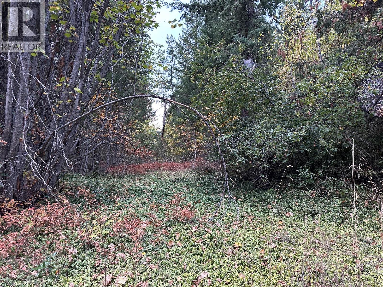 8509 Black Mountain Road, Chase