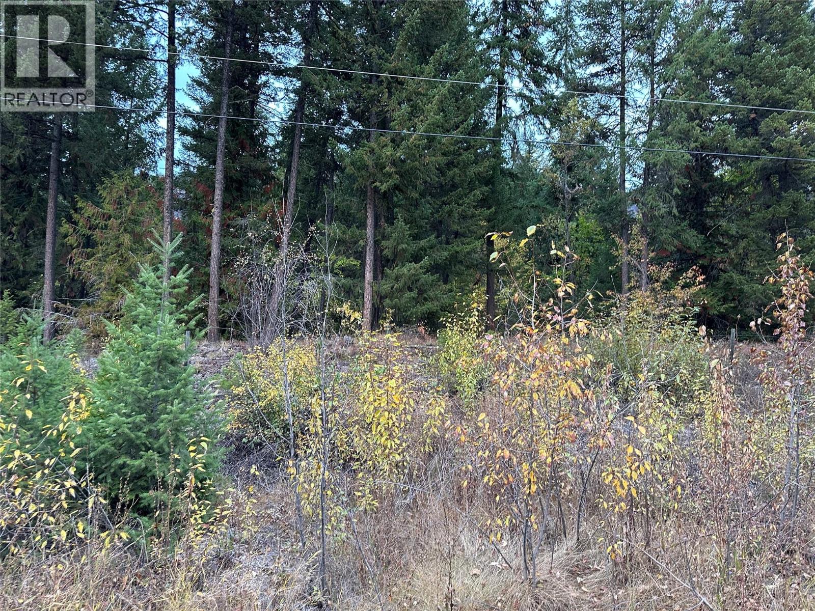 8509 Black Mountain Road, Chase