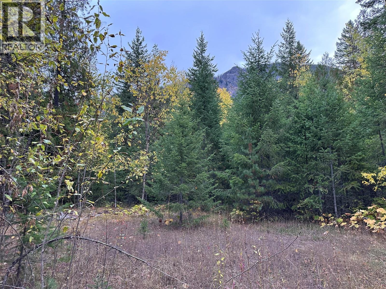 8509 Black Mountain Road, Chase