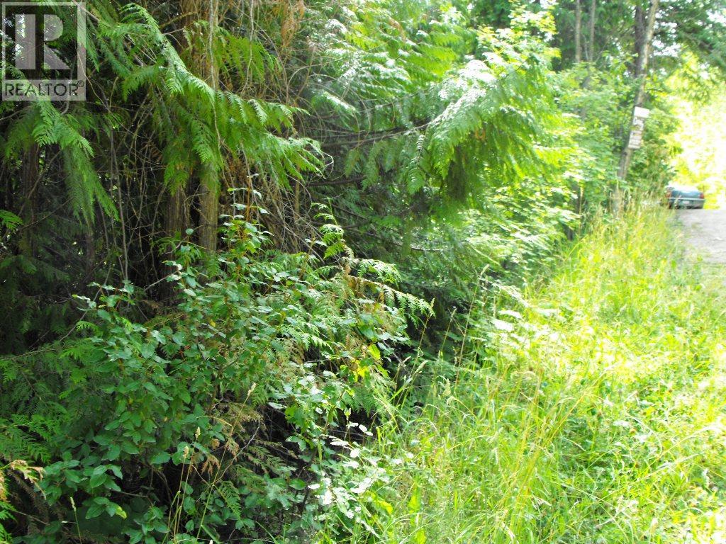 LOT 57 LONNEKE TRAIL - 8