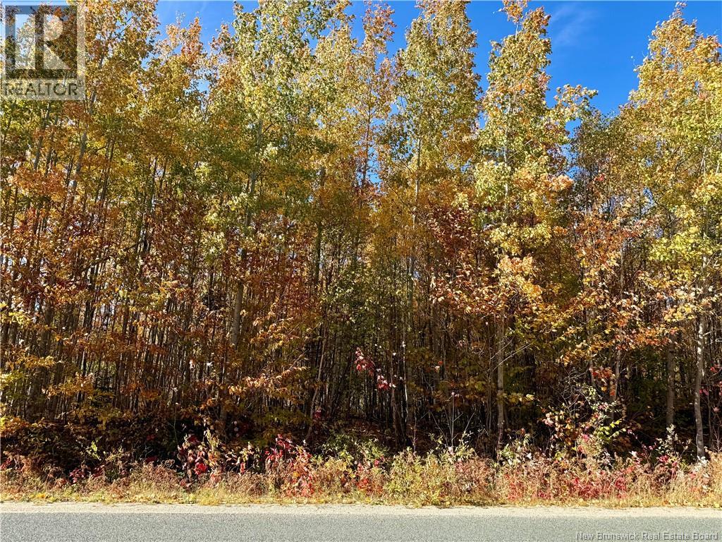 Lot 96-1 Hilltop Road, Hilltop — photo 3