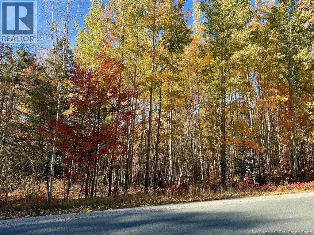 Lot 96-1 Hilltop Road, Hilltop — photo 2