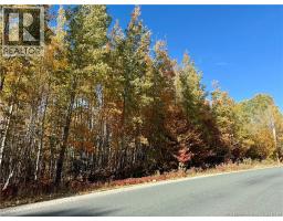 Lot 96-1 Hilltop Road, Hilltop, NB E9E1R9 Photo 6