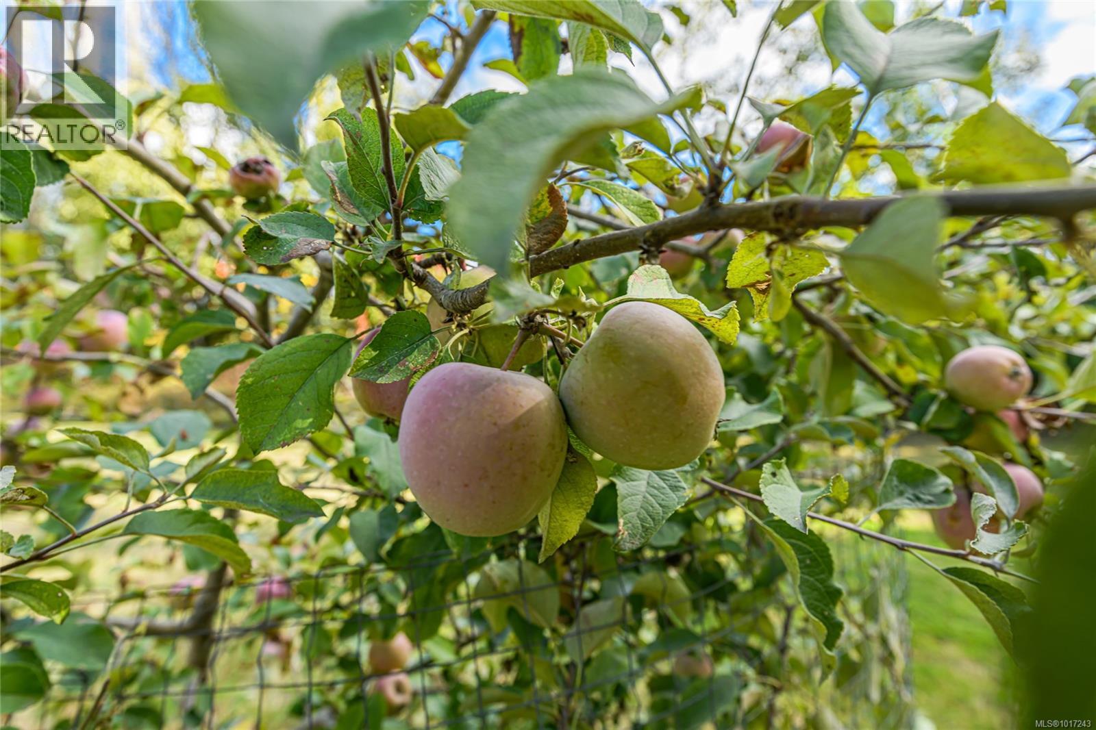 2200 Phipps Rd, Duncan