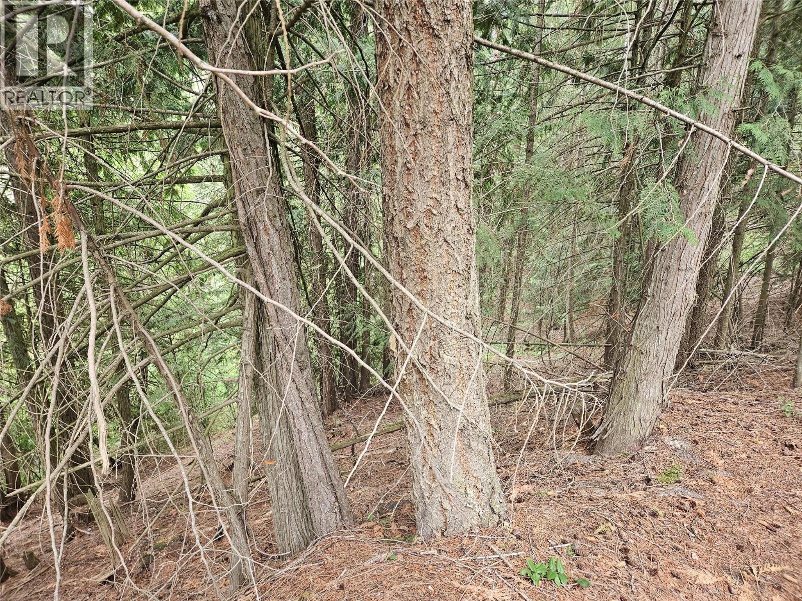 588 HAGEY Road, Creston