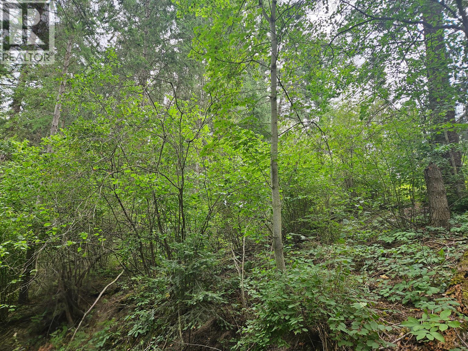 588 HAGEY Road, Creston