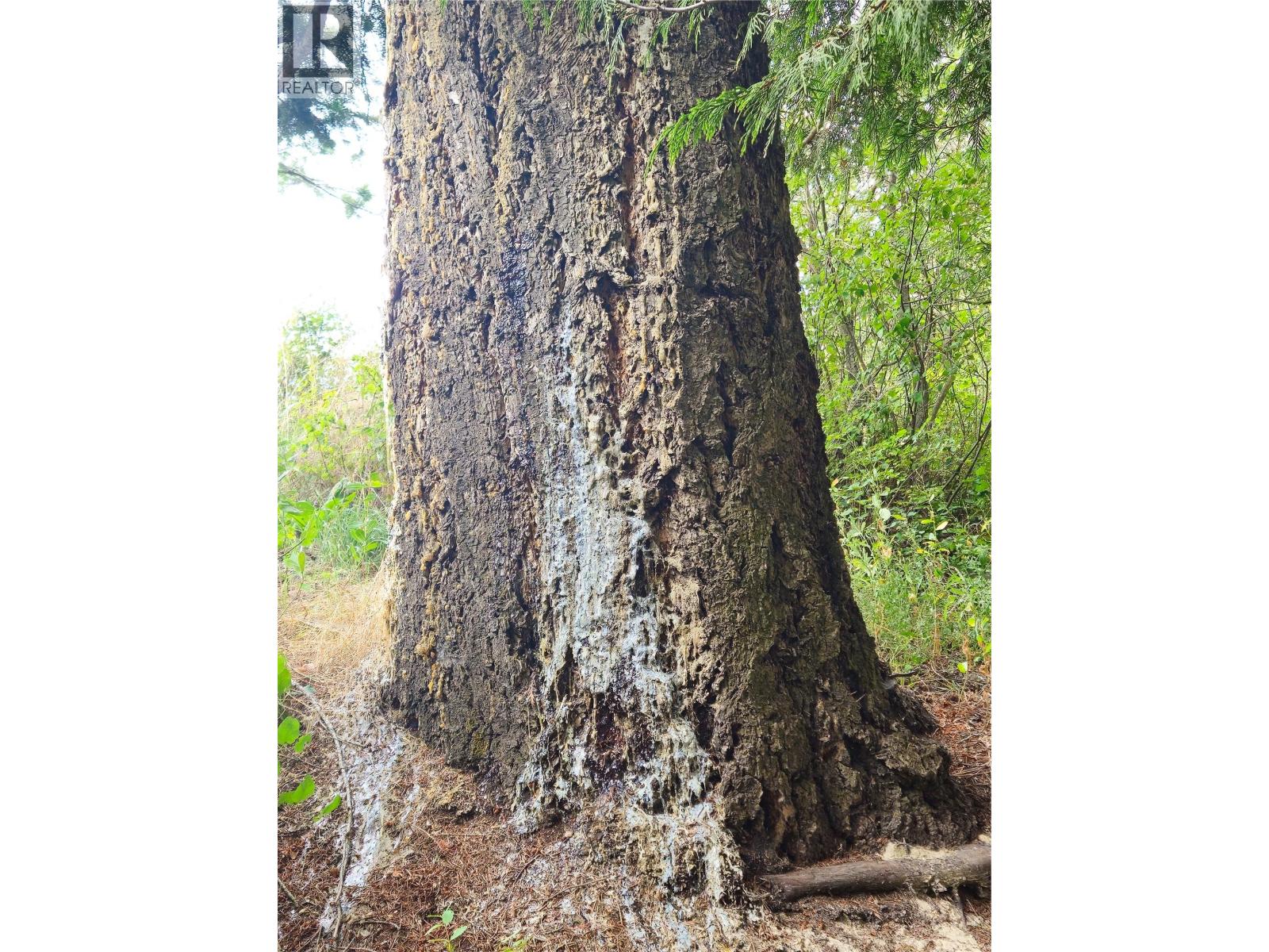 588 HAGEY Road, Creston