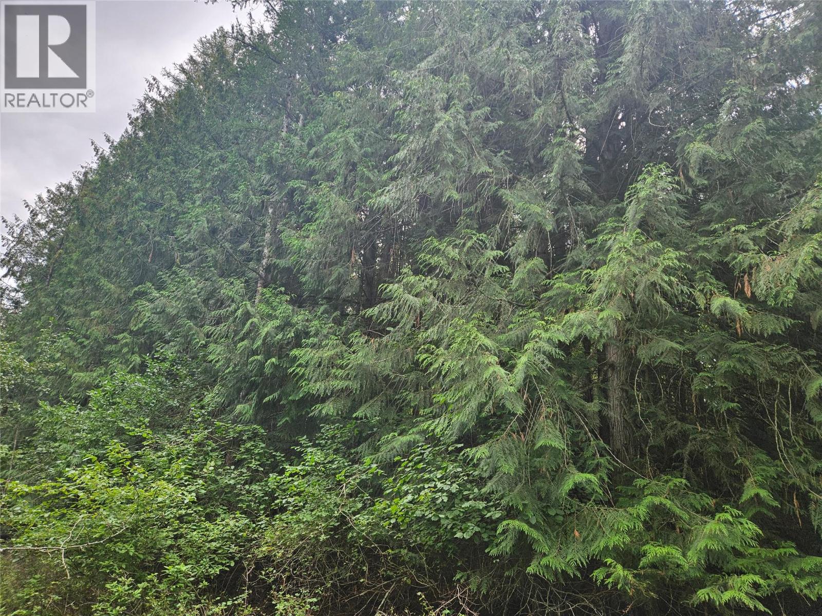 588 HAGEY Road, Creston